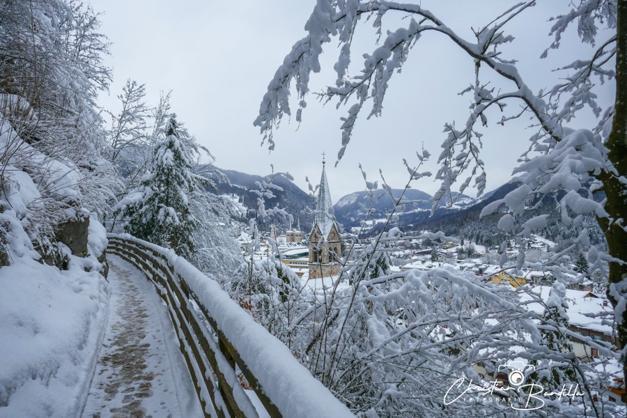 Winter